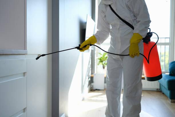 Best Commercial Mold Removal  in Belen, NM